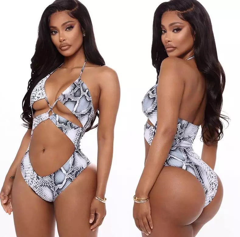 Dakota One Piece Swimsuit