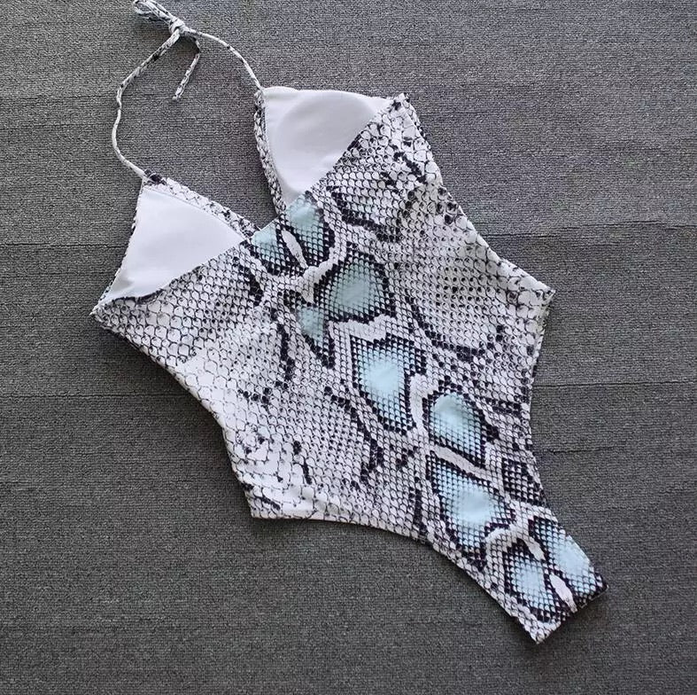 Dakota One Piece Swimsuit