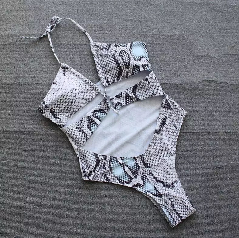 Dakota One Piece Swimsuit